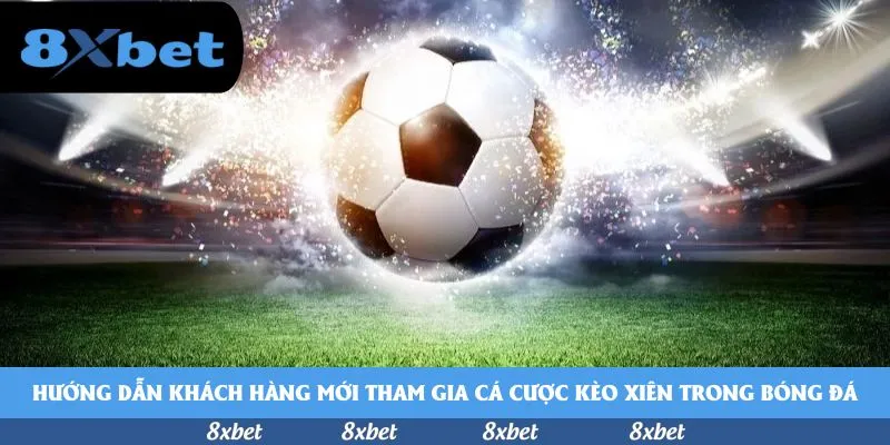 8XBET - vn88 rồng hổ