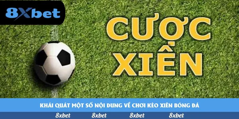 8XBET - vn88 rồng hổ