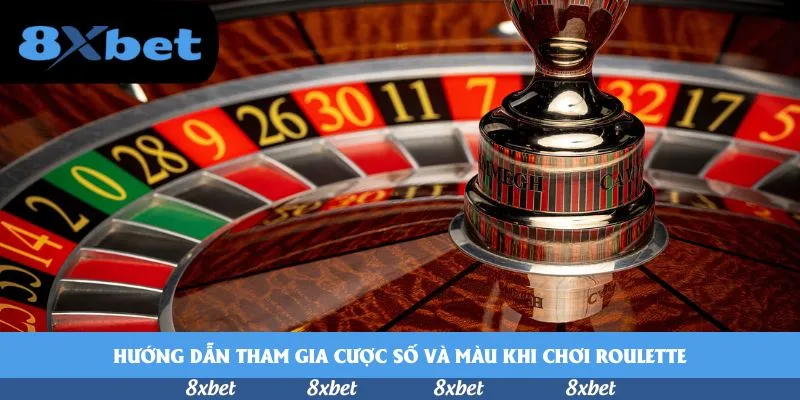 8xbet - tỷ lệ kèo aff cup hôm nay