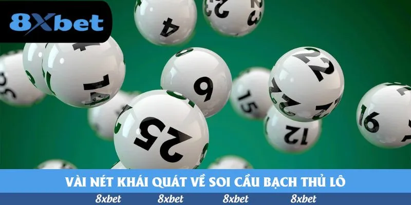 8xbet - m88 trang cá cược thể thao
