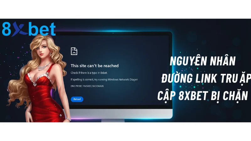 8XBET - shbet lừa đảo 8XBET - shbet lừa đảo