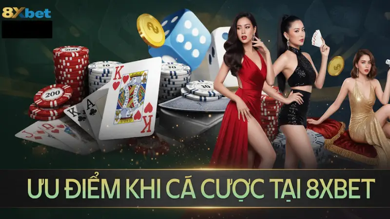 8XBET - haywin đá gà